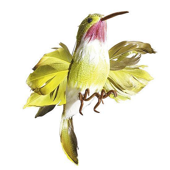Hummingbird