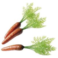 Carrot with green