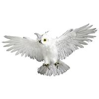 Snowy owl, flying