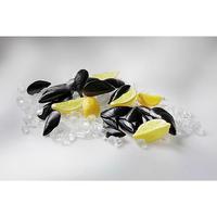 Blue mussels