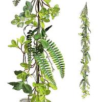 Leaves tendril