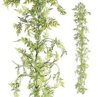 Myrtle tendril
