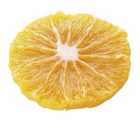 Orange slice
