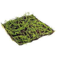 Moss brushwood mat