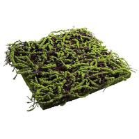 Moss brushwood panel