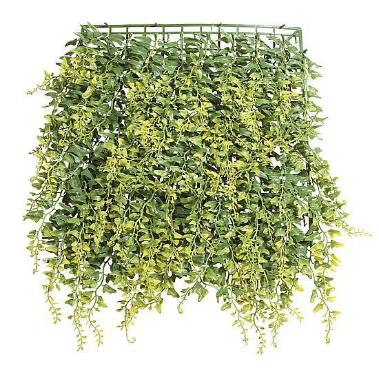Fern panel hanging