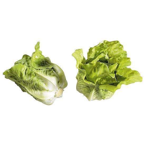 Head lettuce