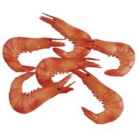 Shrimps
