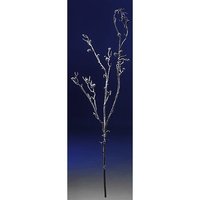 Snowy branch