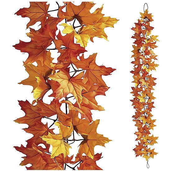 Maple tendril