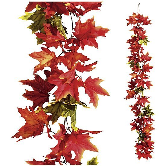 Maple tendril