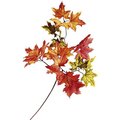 Branch