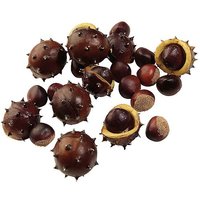Chestnuts