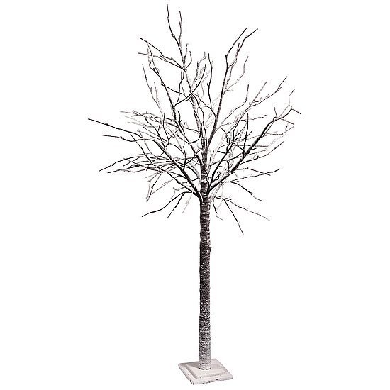 Winter tree