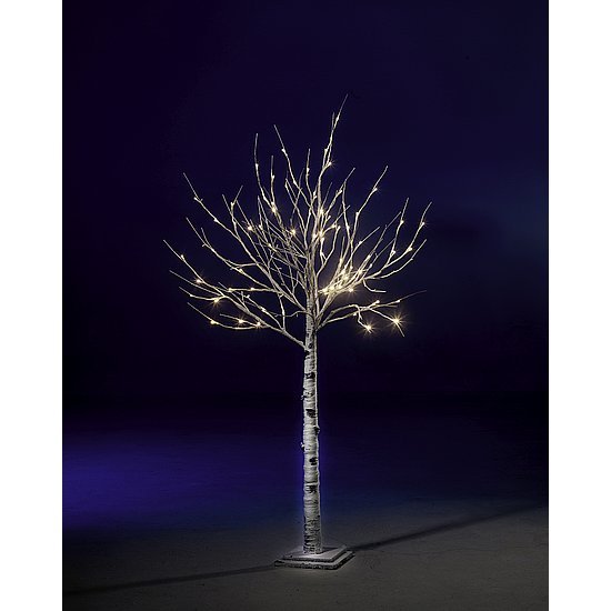LED birch