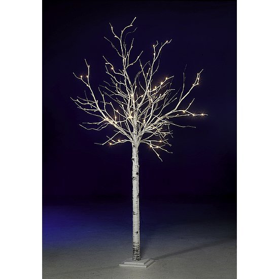 LED birch