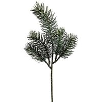 Fir branch picks