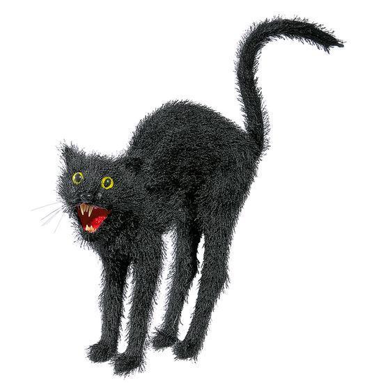 Black cat