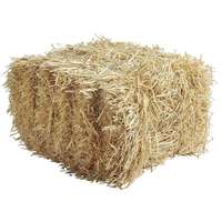 Bale of Hay