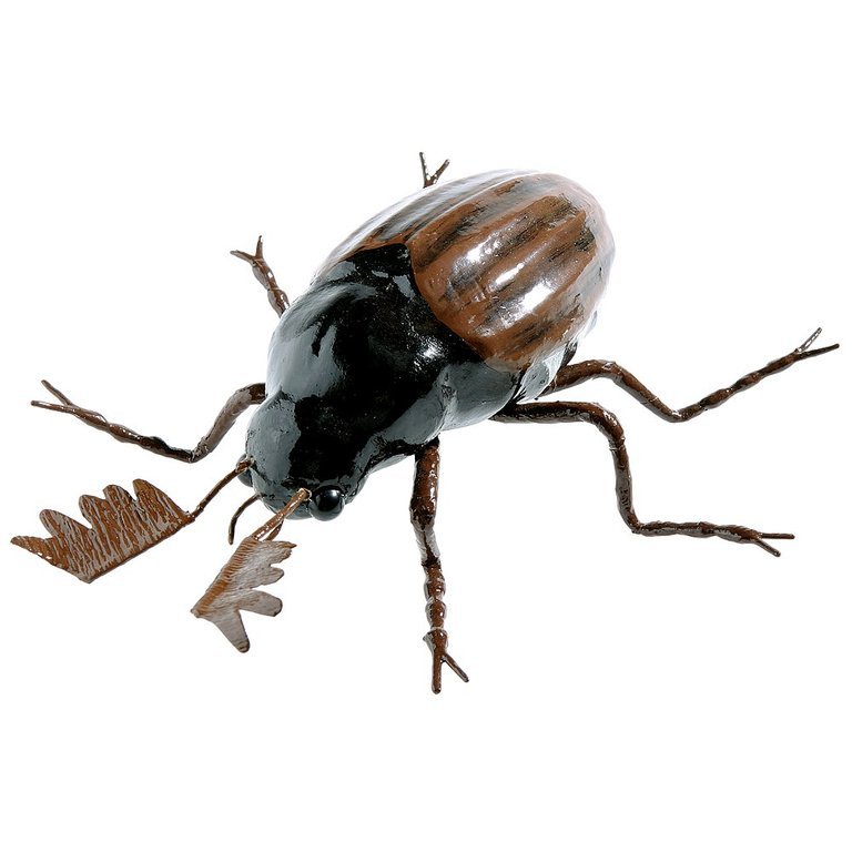 Giant Chafer