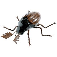 Giant Chafer