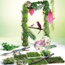 Tropical 105.jpg