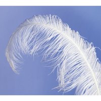 Feather