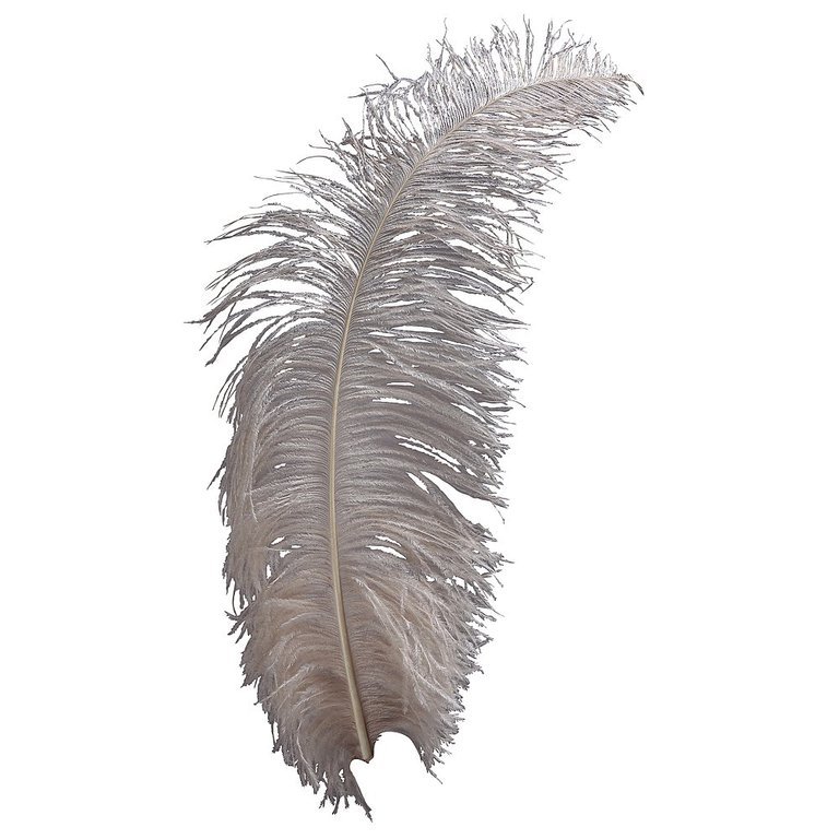 Feather