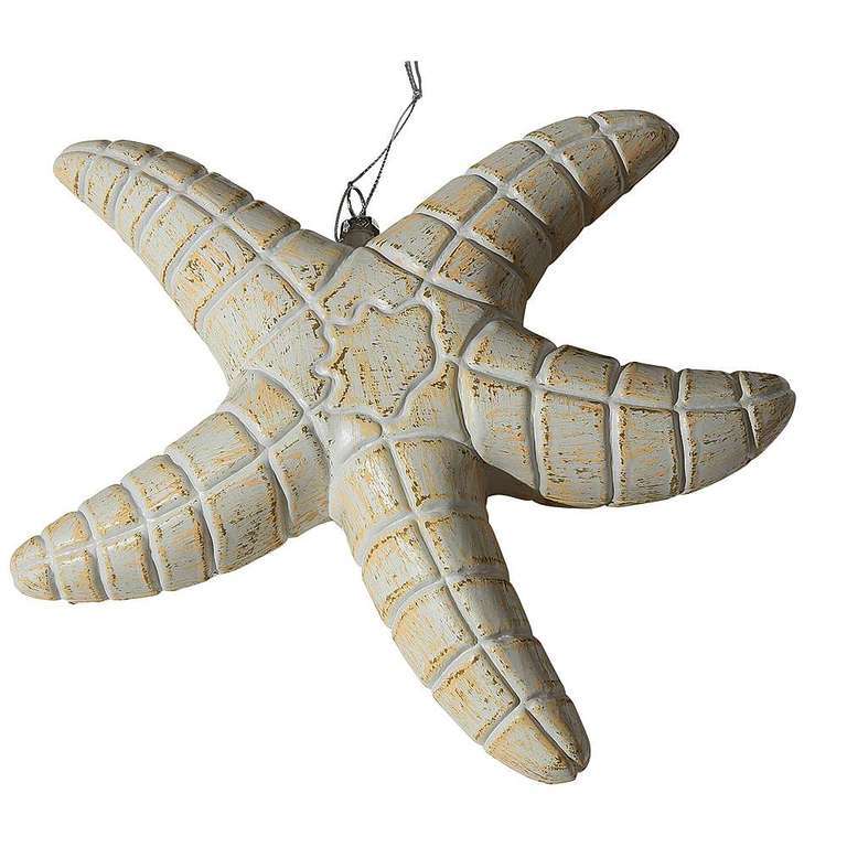 Seestern 25cm, natur
