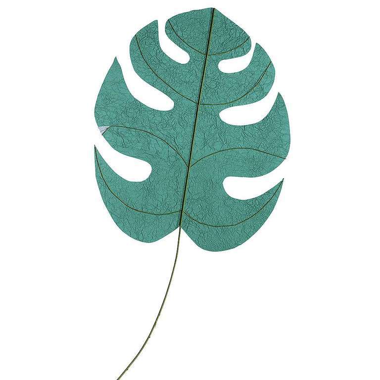 Monstera-Blatt 60x63cm petrol