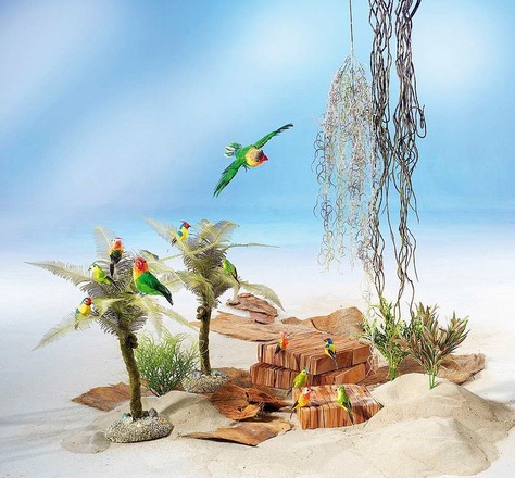 Tropical 121