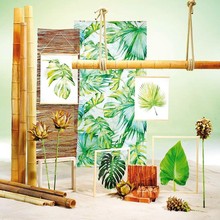 Tropical 123.jpg