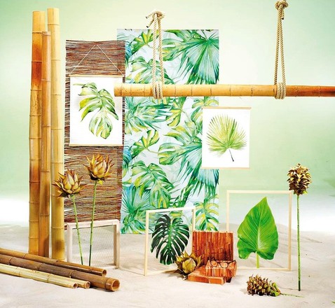 Tropical 123