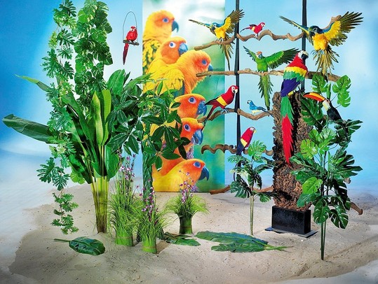 Tropical 127