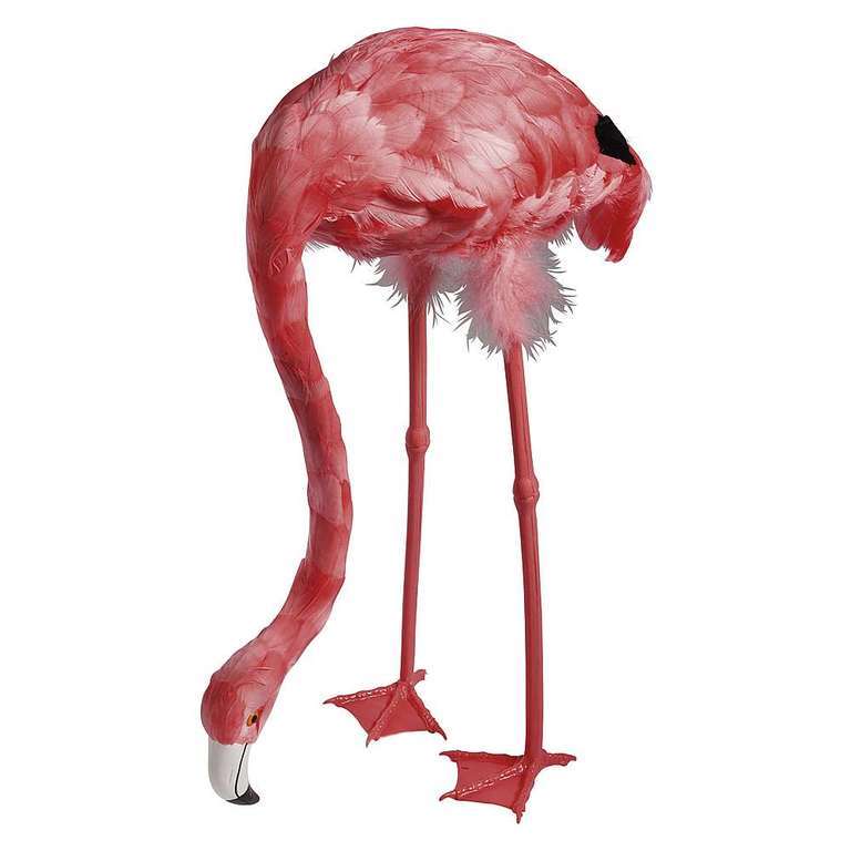 Leraar op school cijfer maaien Flamingo | Etalage Decoratie