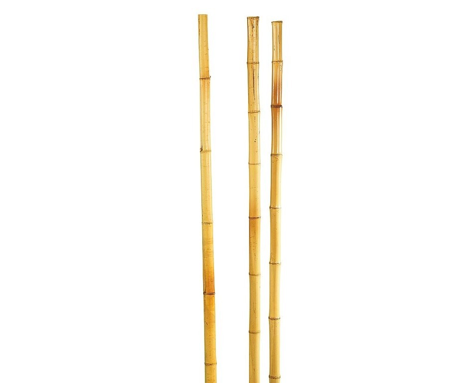 Bamboo canes set