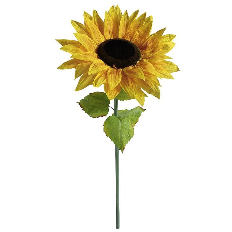 XXL sunflower