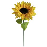 XXL sunflower