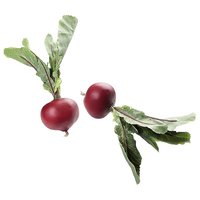 Beetroot