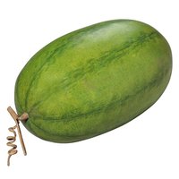 Water melon