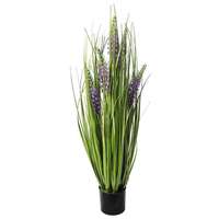 Lavendel in bloei - 70cm