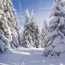 Snowworld.jpg