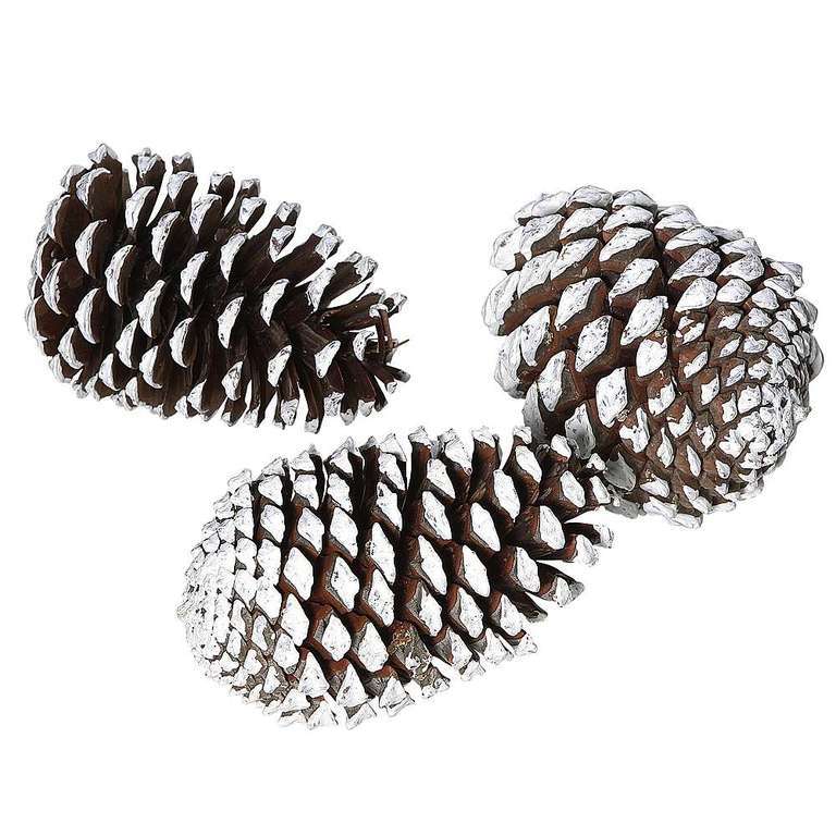 Pinienzapfen natur 15cm 3Stk.