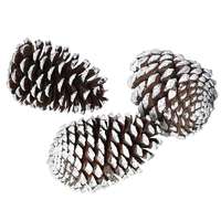 Pinienzapfen natur 15cm 3Stk.