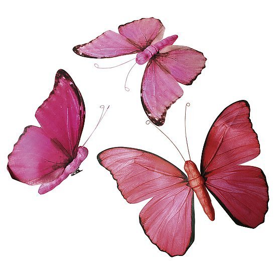 Edelfalter pink/or.