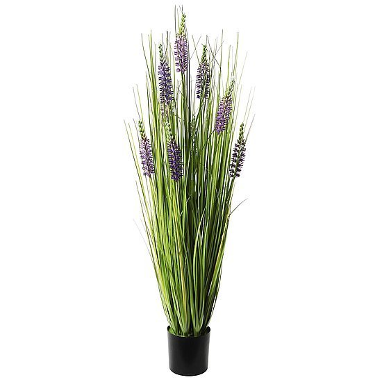 Lavendel in bloei - 100cm 