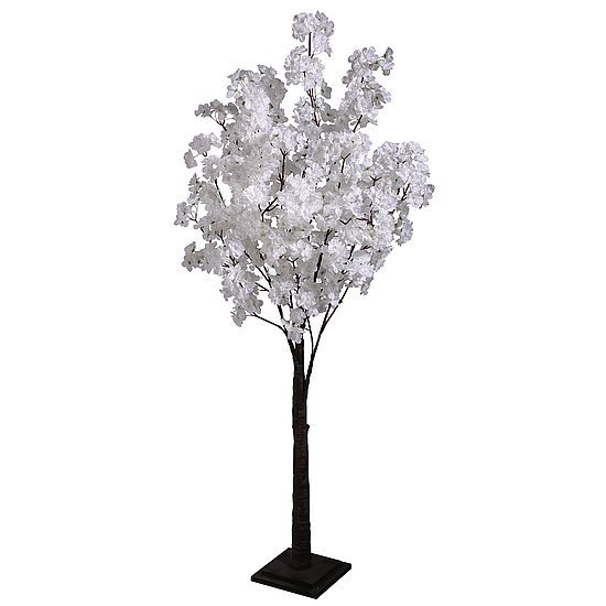 Kirschbloesem boom 160cm