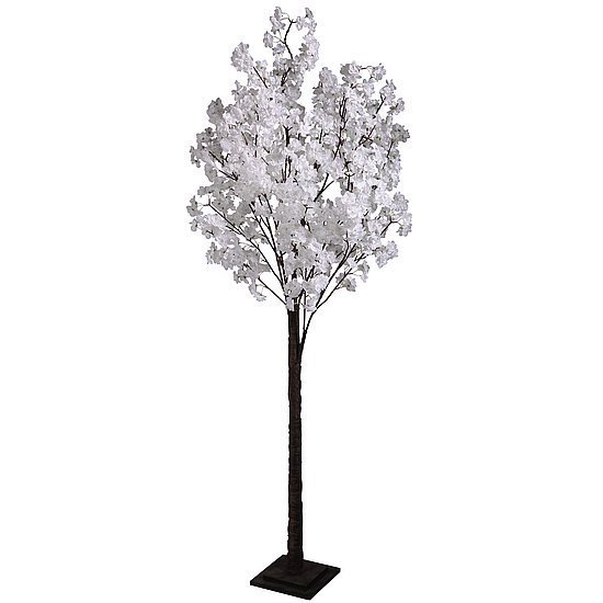 Kirschbloesemboom 200cm