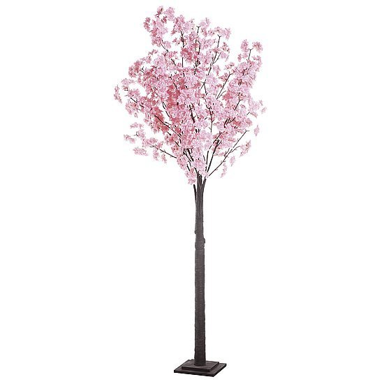Cherry Blossom Tree