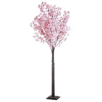Cherry Blossom Tree